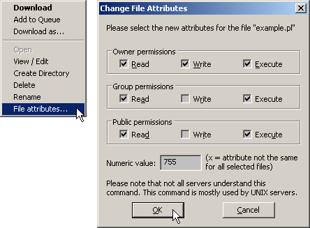 chmod with FileZilla